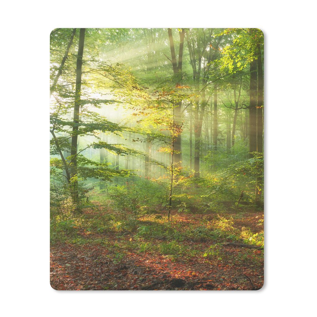 MuchoWow Mauspad Mousepad Sonne - Wald - Bäume - Natur - Herbst 30x40 cm - Mousepads - Maus Mat - Pad - Mausunterlage - Mausmatten