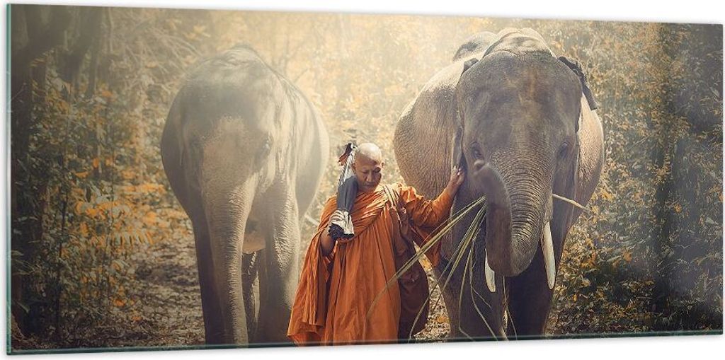 Bilder auf glas - Elefant Mönch Dschungel - 120x50cm - Glasbilder - Wandbilder - Kunstdruck - zum Aufhängen bereit - Wanddekoration aus Glas - Gl...