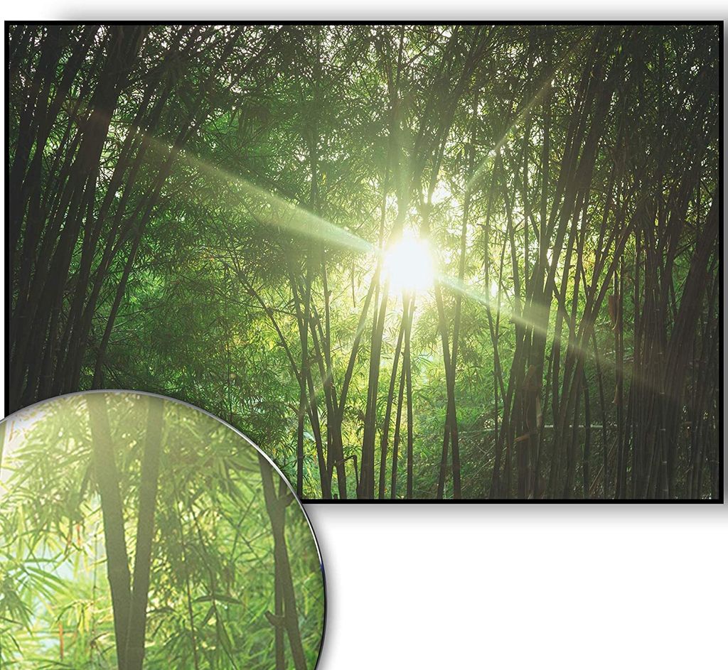 Golden Posters Foto Poster Wald (70x50cm)