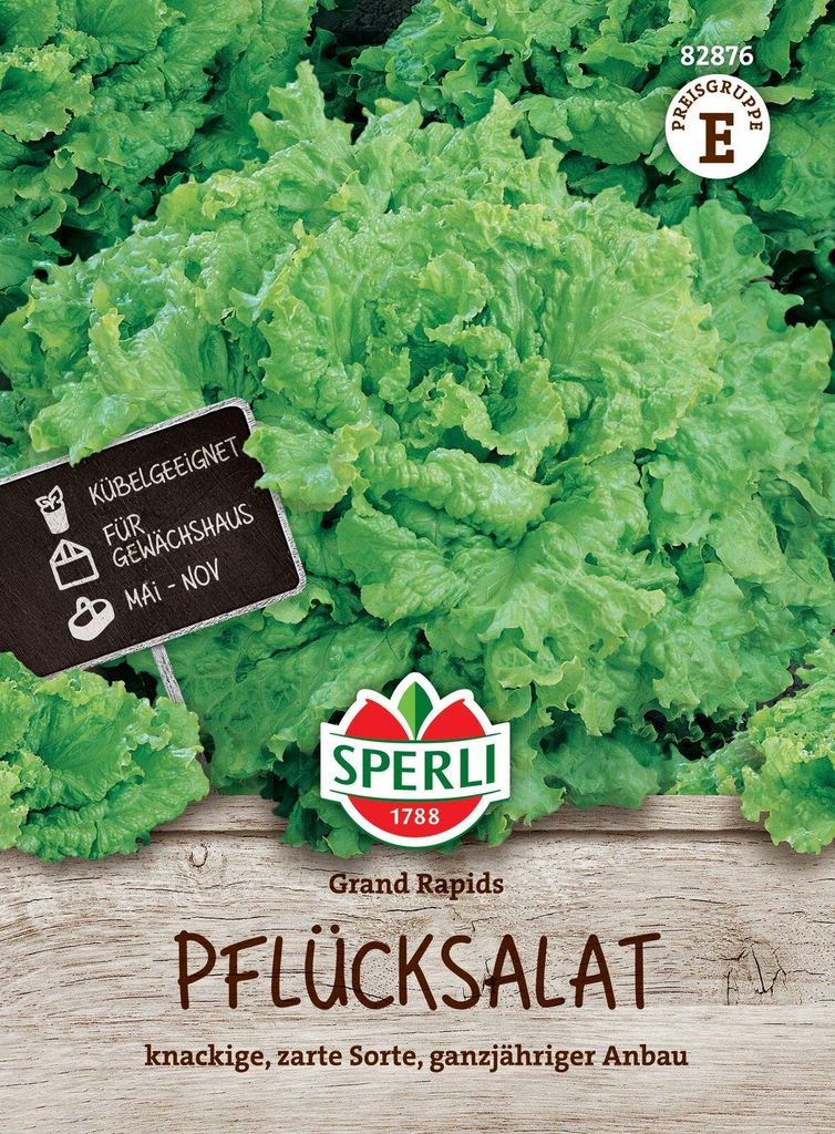 SPERLI Salatsamen Grand Rapids Lactuca sativa 5-7 lfd. Produktbild 