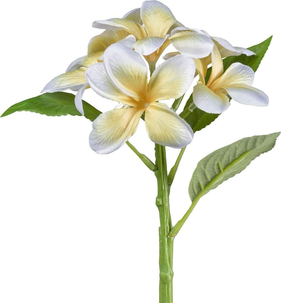 GASPER Frangipani - Plumeria Gelb & Weiß 32 cm - Kunstblumen
