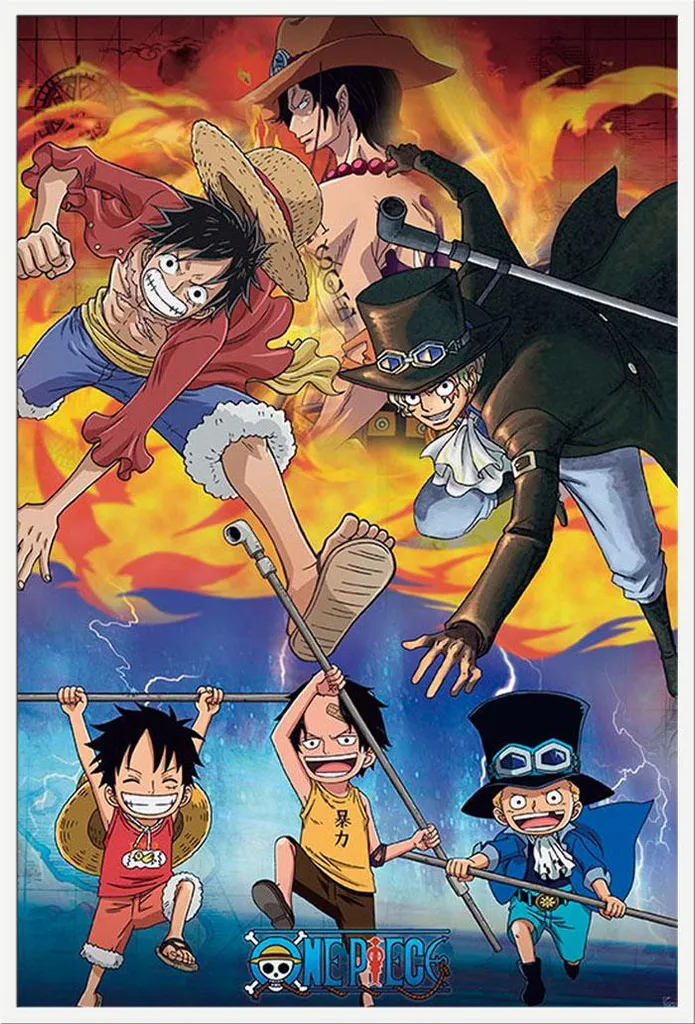 Cadre Shinsuke Blanc avec Affiche One Piece et Vitre Acrylique Durable