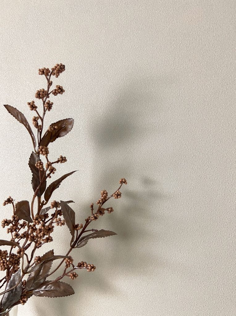 NEWROOM Tapete Creme Vliestapete Unifarbe - Universal Modern Natur Sand Struktur Monochrom Uni Uni Einfarbig