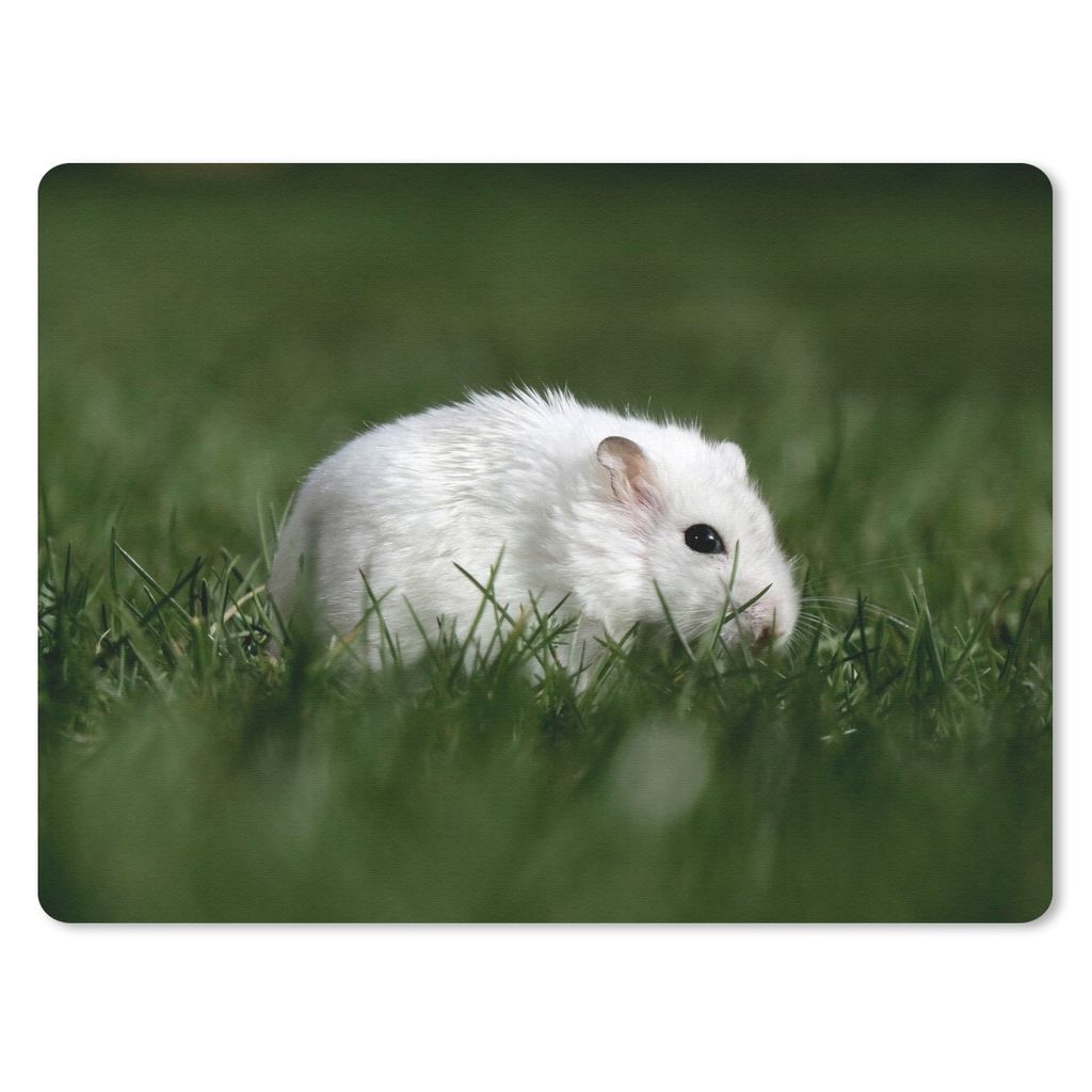 MuchoWow Mauspad Mousepad Russischer Zwerghamster auf einer Wiese 40x30 cm - Mousepads - Maus Mat - Pad - Mausunterlage - Anti Rutsch