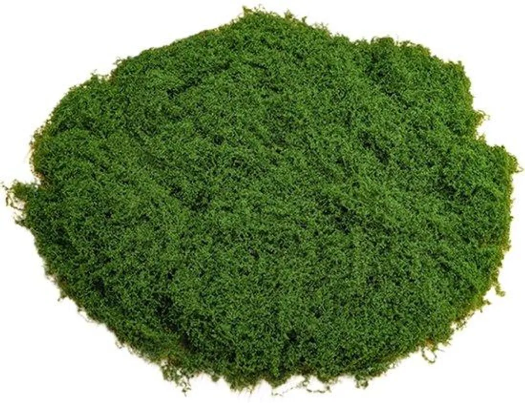 Mousse synthétique décorative 50g pour compositions et terrariums DIY