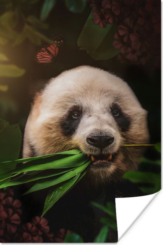 MuchoWow Poster Panda - Schmetterling - Dschungel 60x90 cm - Wanddekoration