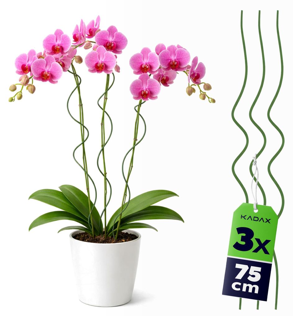 KADAX Spiralstäbe 75cm x 3mm, 3er Set, Rankstäbe aus kunststoffbeschichtetem Metall, Spiral Rankhilfe für Blumen, Stauden und hohe Pflanzen, Blu...