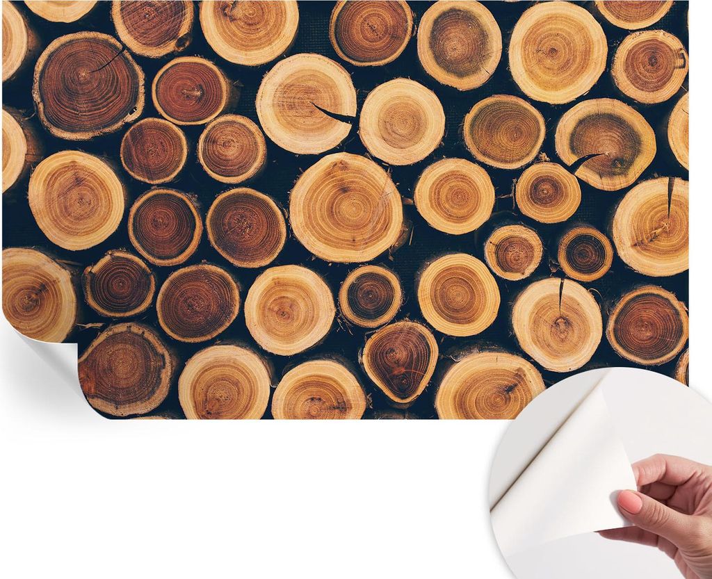 Selbstklebende Wandtapete - Dekorative Tapete für Wohnzimmer - Klebefolie für Wandbilder - Tapetenfolie für Wanddekoration - 416x254 - Holzkreise