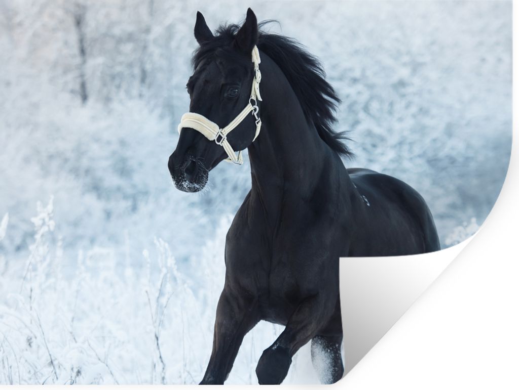 MuchoWow Wandtattoo Wandsticker Wandaufkleber Pferd - Schnee - Wald 120x90 cm Selbstklebend und Repositionierbar - Aufkleber
