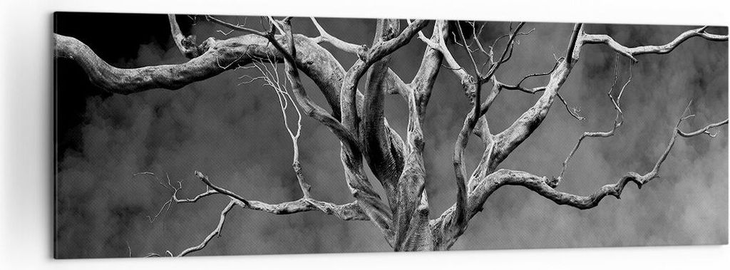 Bild auf Leinwand - Leinwandbild - Einteilig - Schwarzweiß Äste Rauch - 160x50cm - Wand Bild - Wanddeko - Wandbilder - Leinwanddruck - Bilder - W...