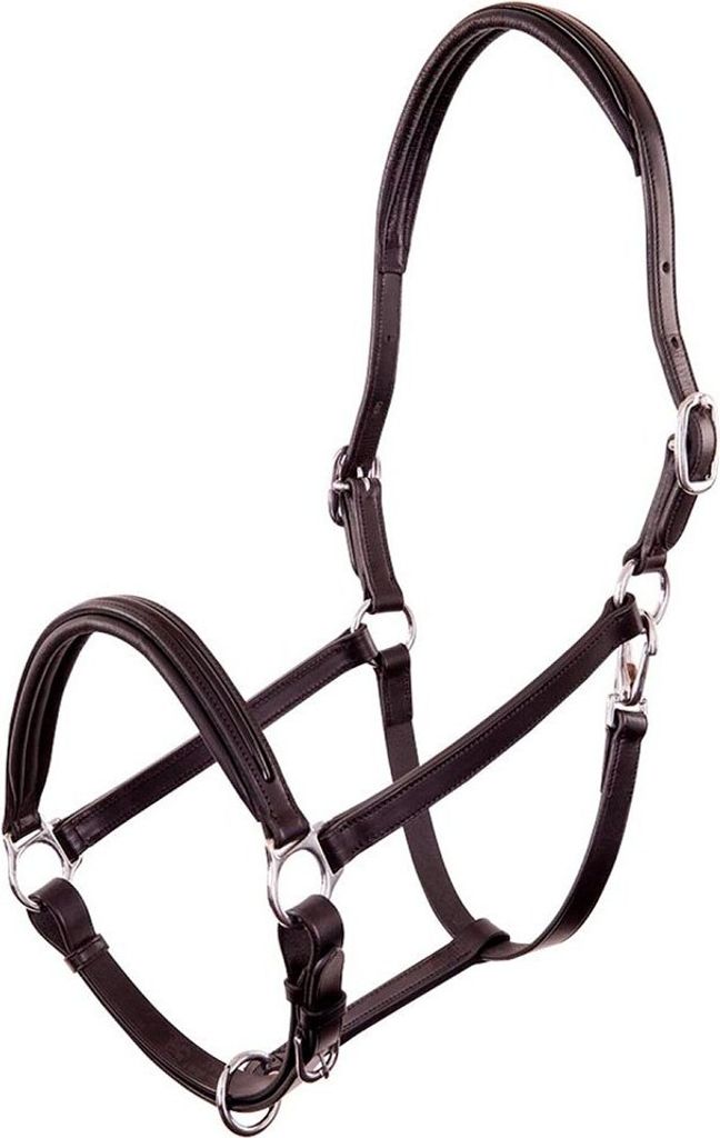 Premiere Florennes Halfter Schwarz Cob Schwarz Cob
