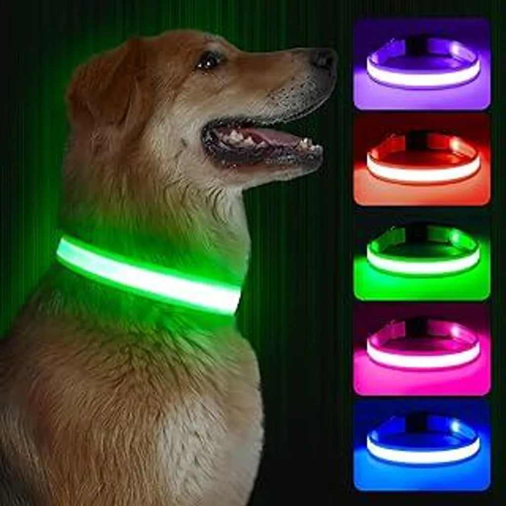 Collare LED Professionale per Cani - Ricaricabile e Regolabile