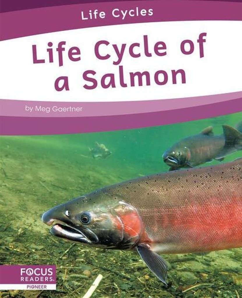 Life Cycle Of A Salmon – Lingua: Inglese