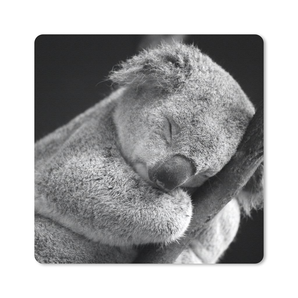 MuchoWow Mauspad Mousepad Koala - Zweig - Schwarz - Kinder - Jungen - Mädchen 20x20 cm - Mousepads - Maus Mat - Pad - Mausunterlage - Desk Mat -...