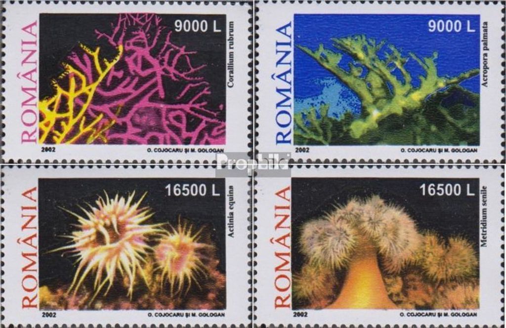 Briefmarken Rumänien 2002 Mi 5634-5637 (kompl.Ausg.) postfrisch Korallen und Seeanemonen