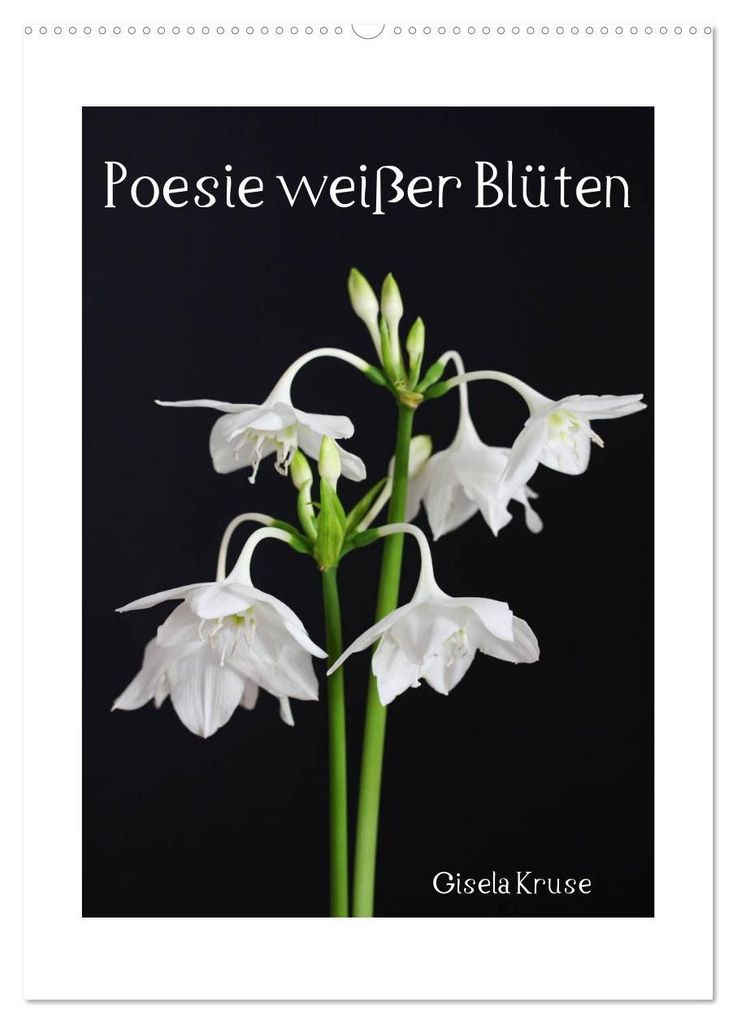 Poesie weißer Blüten (Wandkalender 2027 DIN A2 hoch), CALVENDO Monatskalender