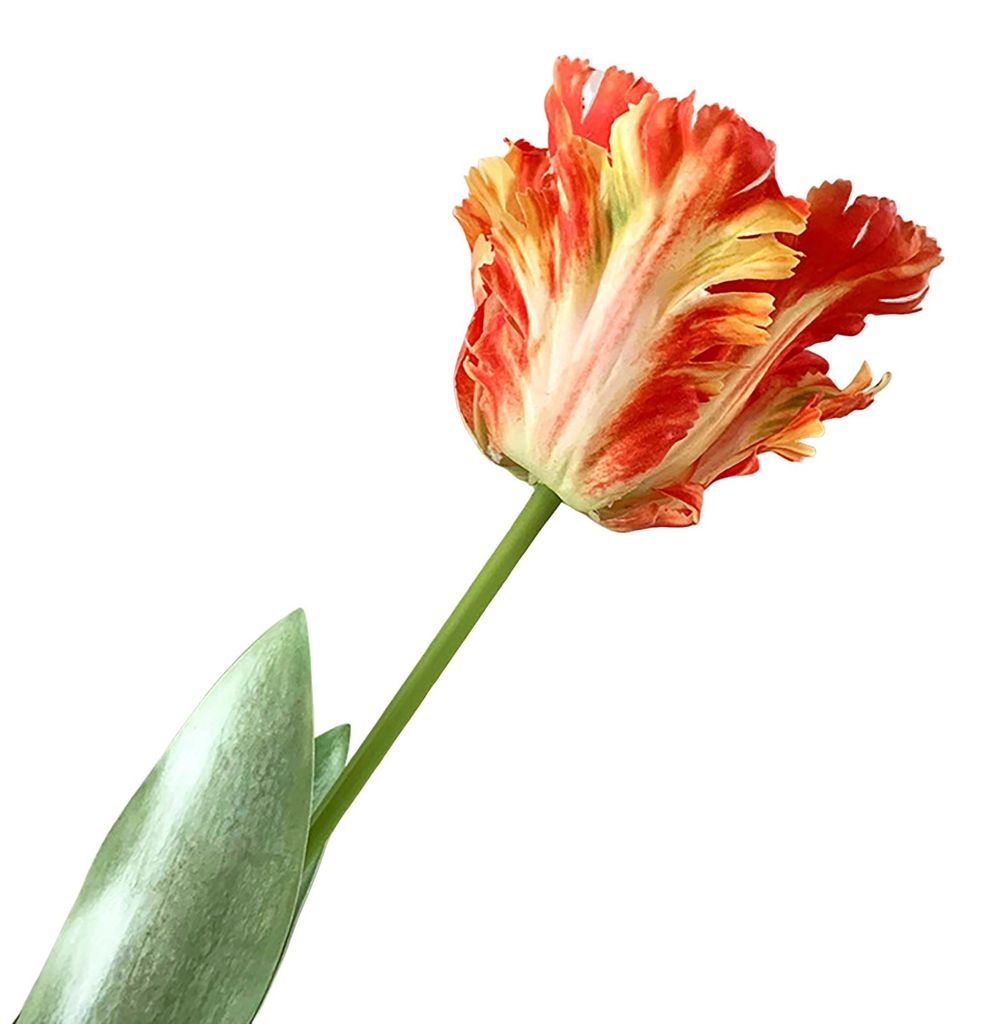 Künstliche Tulpe, realistische Kunstblume mit Blättern, pflegeleicht, für Heimdekoration, Hochzeiten, Partys, Tischdekoration