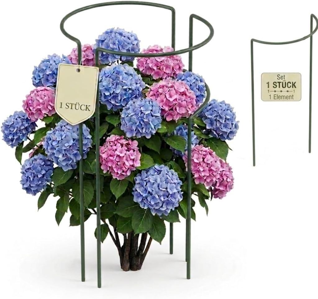 Support pour plantes vivaces hauteur 70 cm - support pour Image du produit 