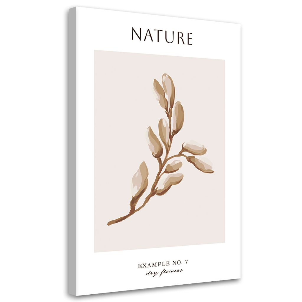Leinwandbild Getrocknete Blume – Natur 60x90 Feeby Beige bild für die wand bereit zum aufhängen