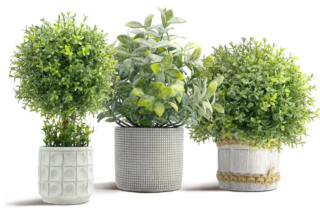Décoration de Table avec 3 Buis Artificiels - Idéal Salon et Bureau