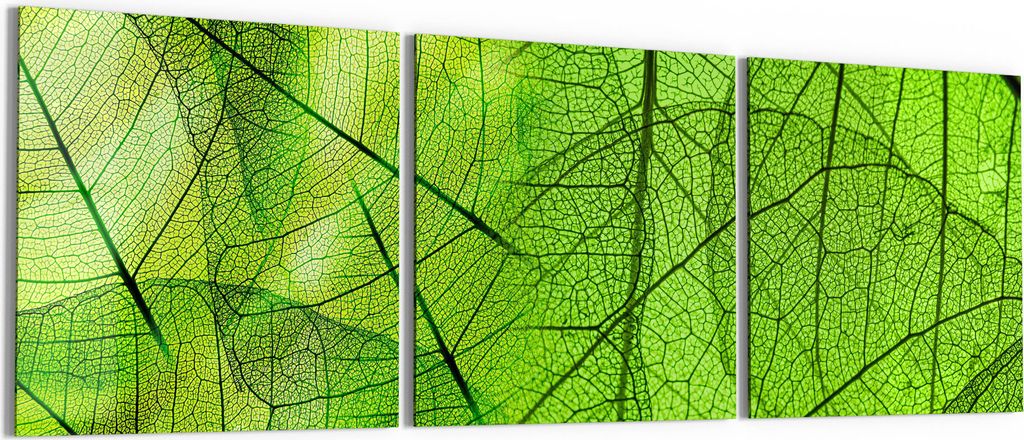 DEQORI Glasbild Echtglas 3x50x50 cm 'Transparente Laubblätter' Wandbilder XXL groß