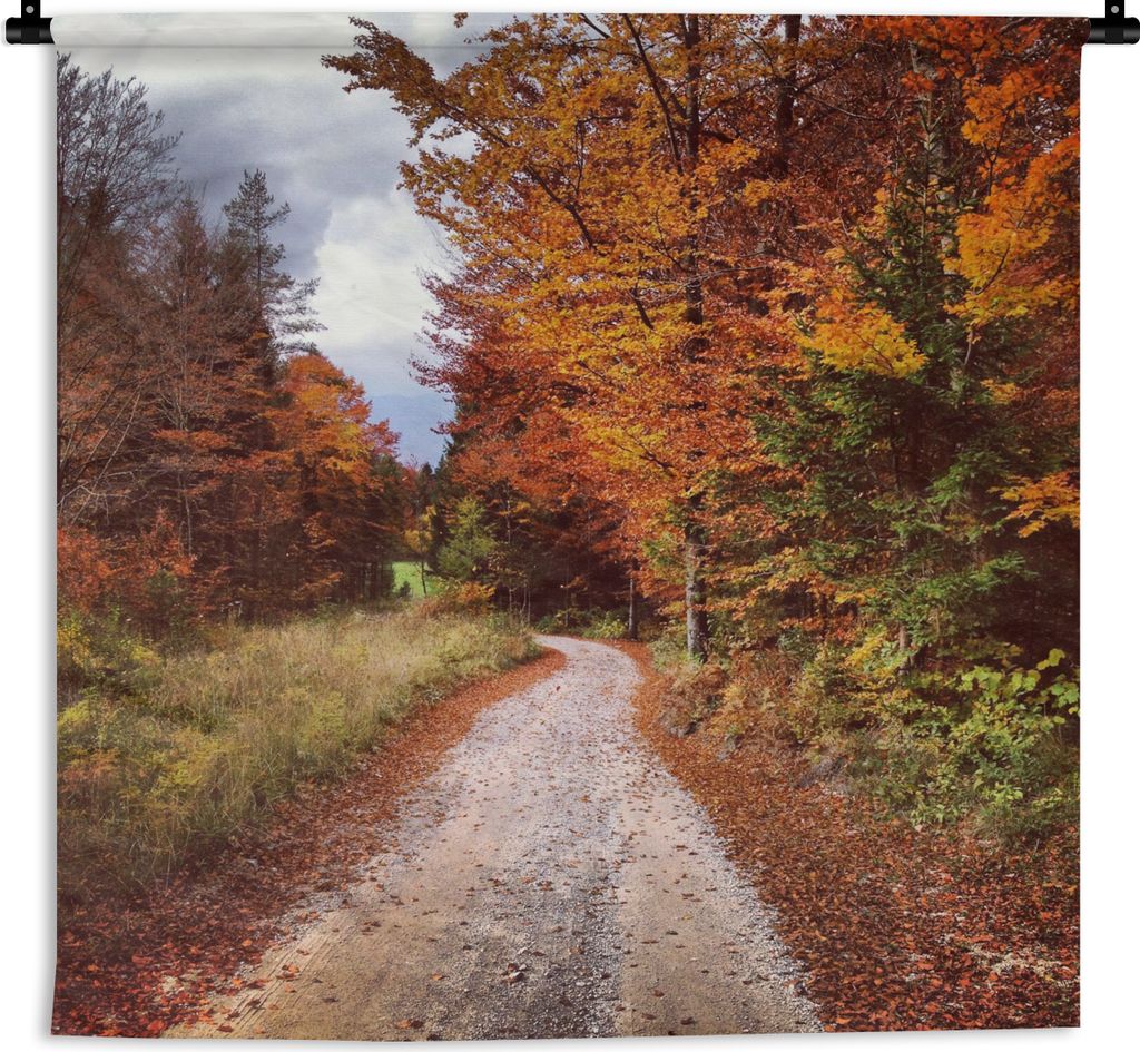 MuchoWow Wandteppich Wandbehang Herbst - Herbstblätter - Weg - Wald 150x150 cm Tapisserie Dekoration Wandtuch - Wohnaccessoires - Modernes