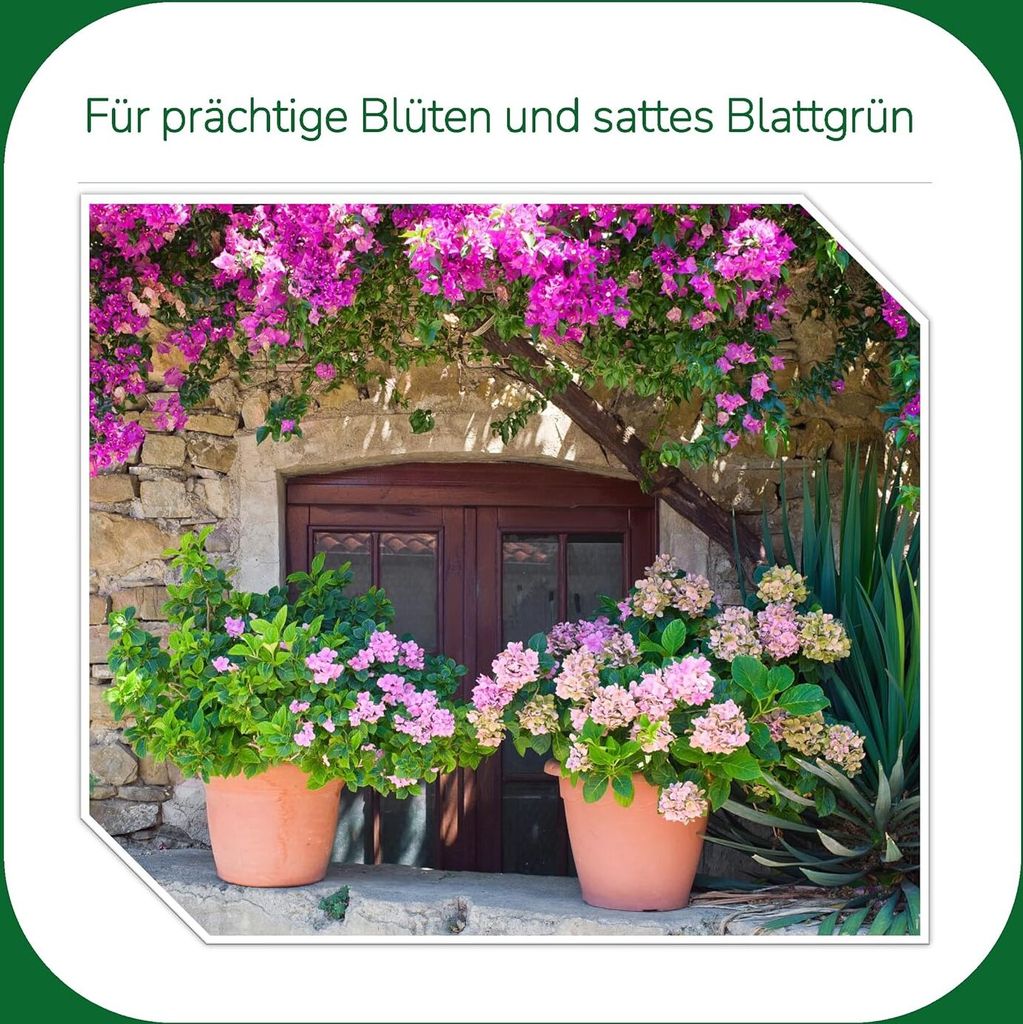 aloe vera gel darm Bio-Aloe Vera Pflegegel für Kinder | Beruhigende Feuchtigkeitspflege main image 0