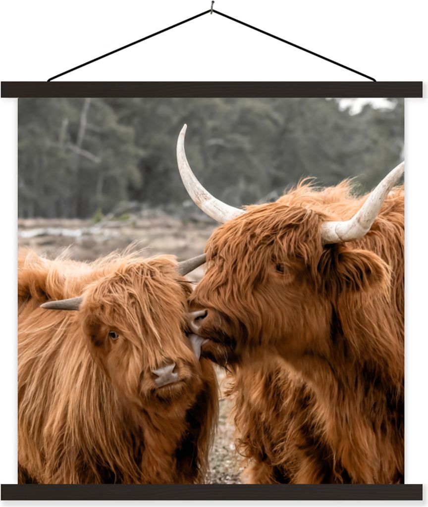 MuchoWow Textilposter Schottisches Hochlandrind - Kuh - Tiere 90x90 cm mit schwarzem Rahmen - Magnetisches