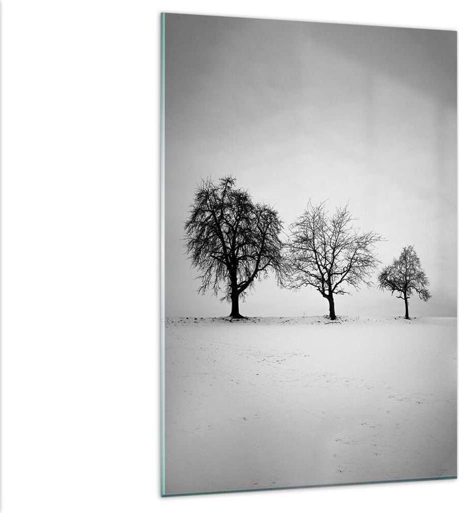 Bilder auf glas - Einteilig - Winter Bäume Schnee - Produktbild 