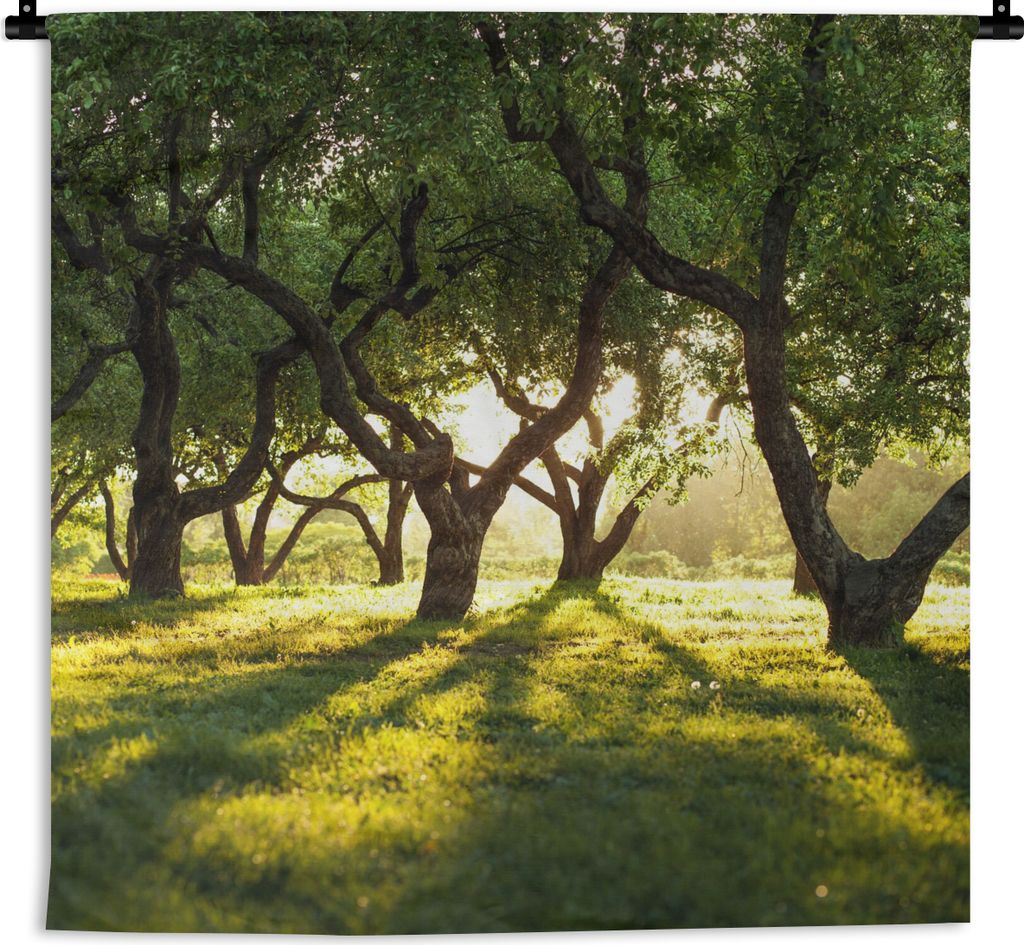 MuchoWow Wandteppich Wandbehang Bäume - Natur - Sonne 120x120 cm Tapisserie Dekoration Wandtuch - Modern - Baumwollgewebe