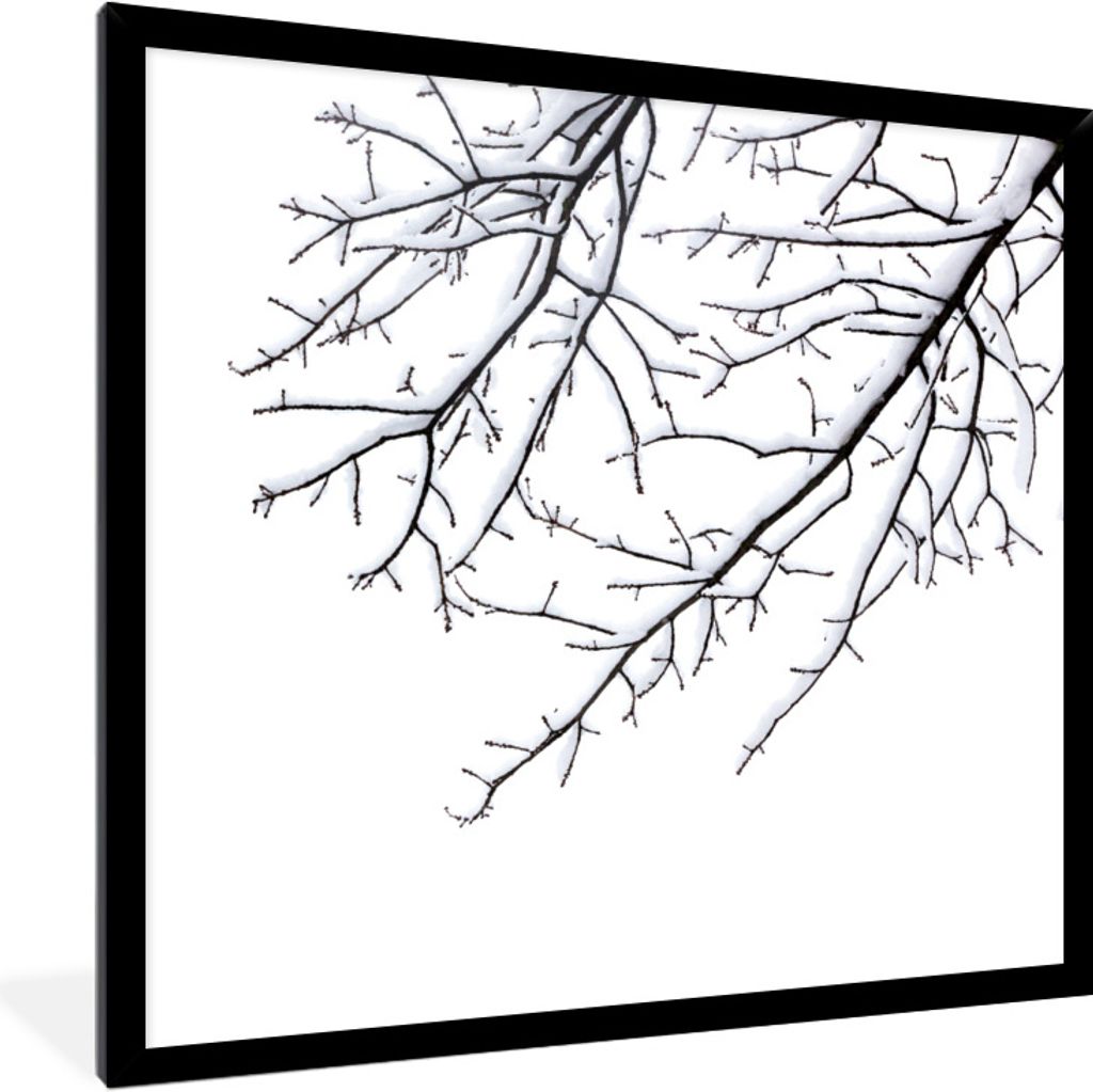 MuchoWow Gerahmtes Poster Äste mit Schnee 40x40 cm - Poster mit Schwarzem Bilderrahmen Wandposter Rahmen Foto Bilder - Mit Rahmen - Wanddekorati...