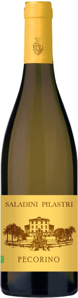 Pecorino Falerio DOC Saladini Pilastri Marken Weißwein trocken