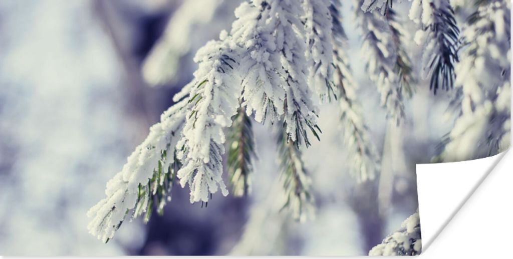 MuchoWow Poster Winter - Tannenbaum - Schnee - Ländlich 120x60 cm - Bild