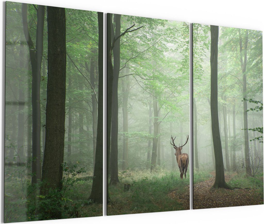 DEQORI Glasbild Echtglas 3x50x100 cm 'Hirsch zwischen Bäumen' Wandbilder XXL groß