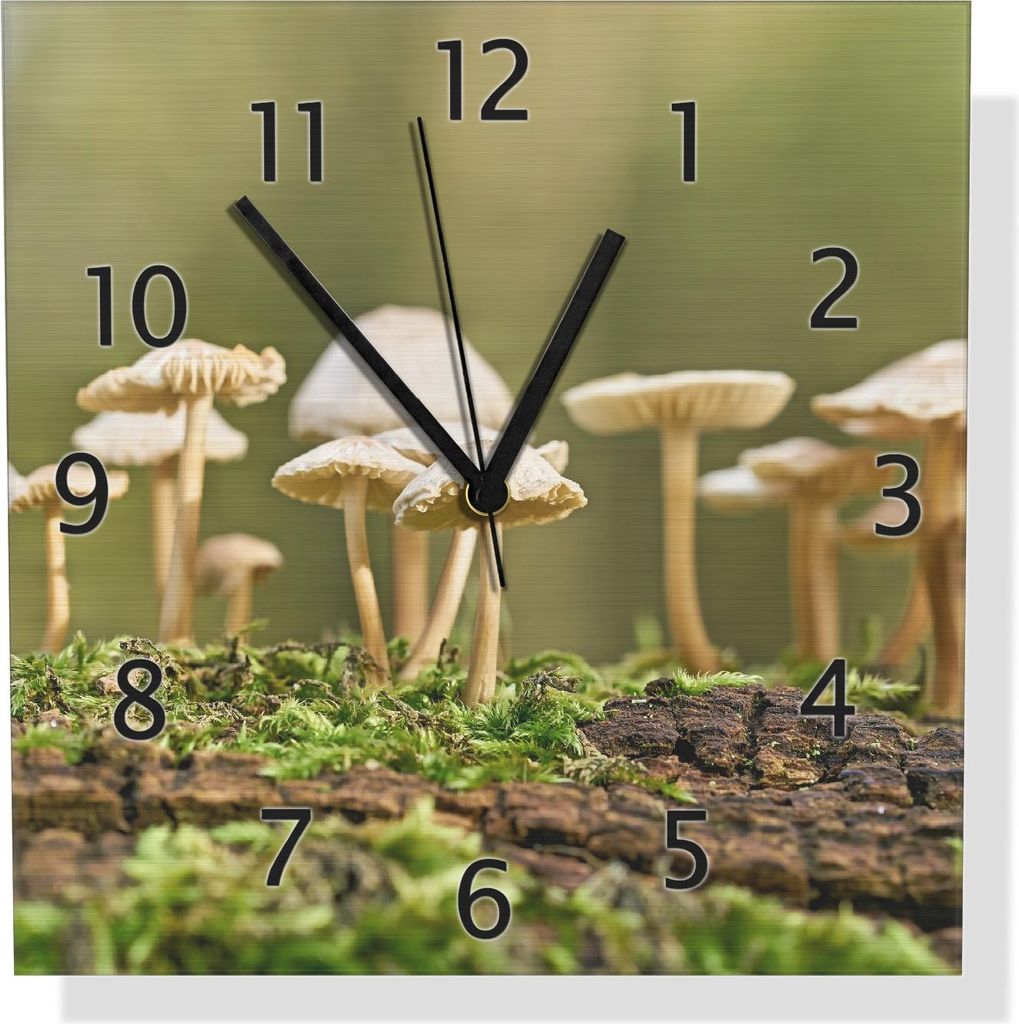 Wallario Design Wanduhr Pilze auf Baumstamm aus Aluverbund, Größe 30 x 30 cm