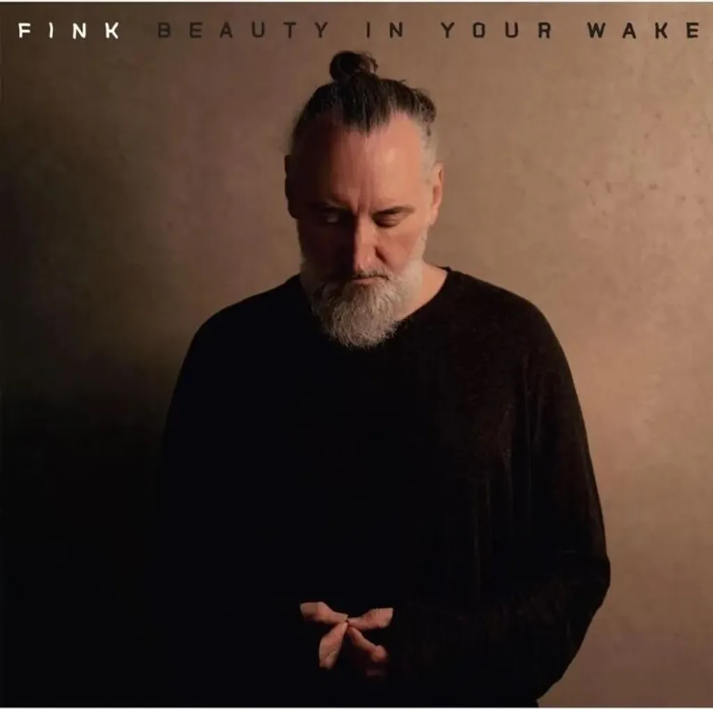 Musique Relaxante Vinyle Fink Beauty In Your Wake Ambiance Intime