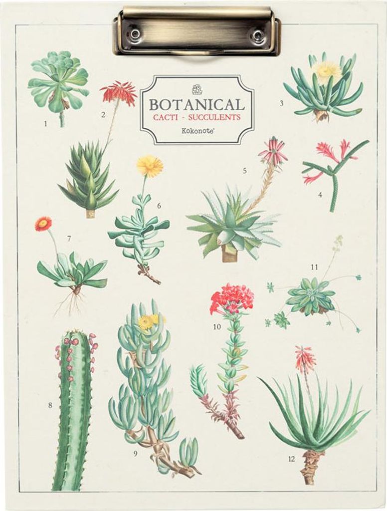 A4-Mappe mit Clip botanical Kakteen