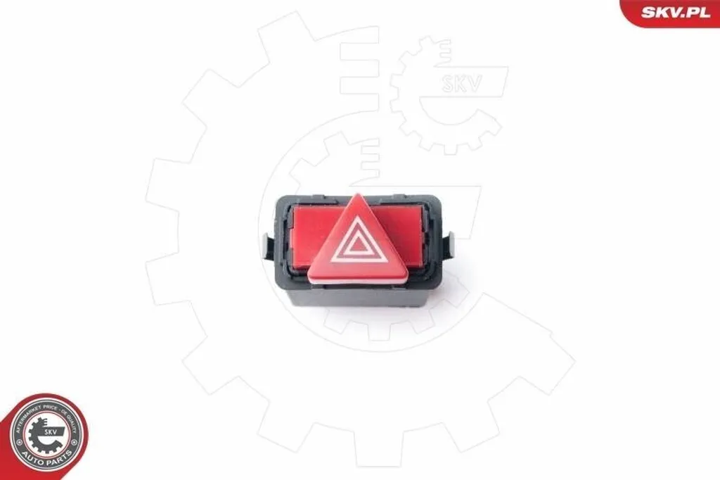 Pulsante Luci Emergenza Audi A6 Allroad C5 96SKV100 - ESEN SKV 10 Pin