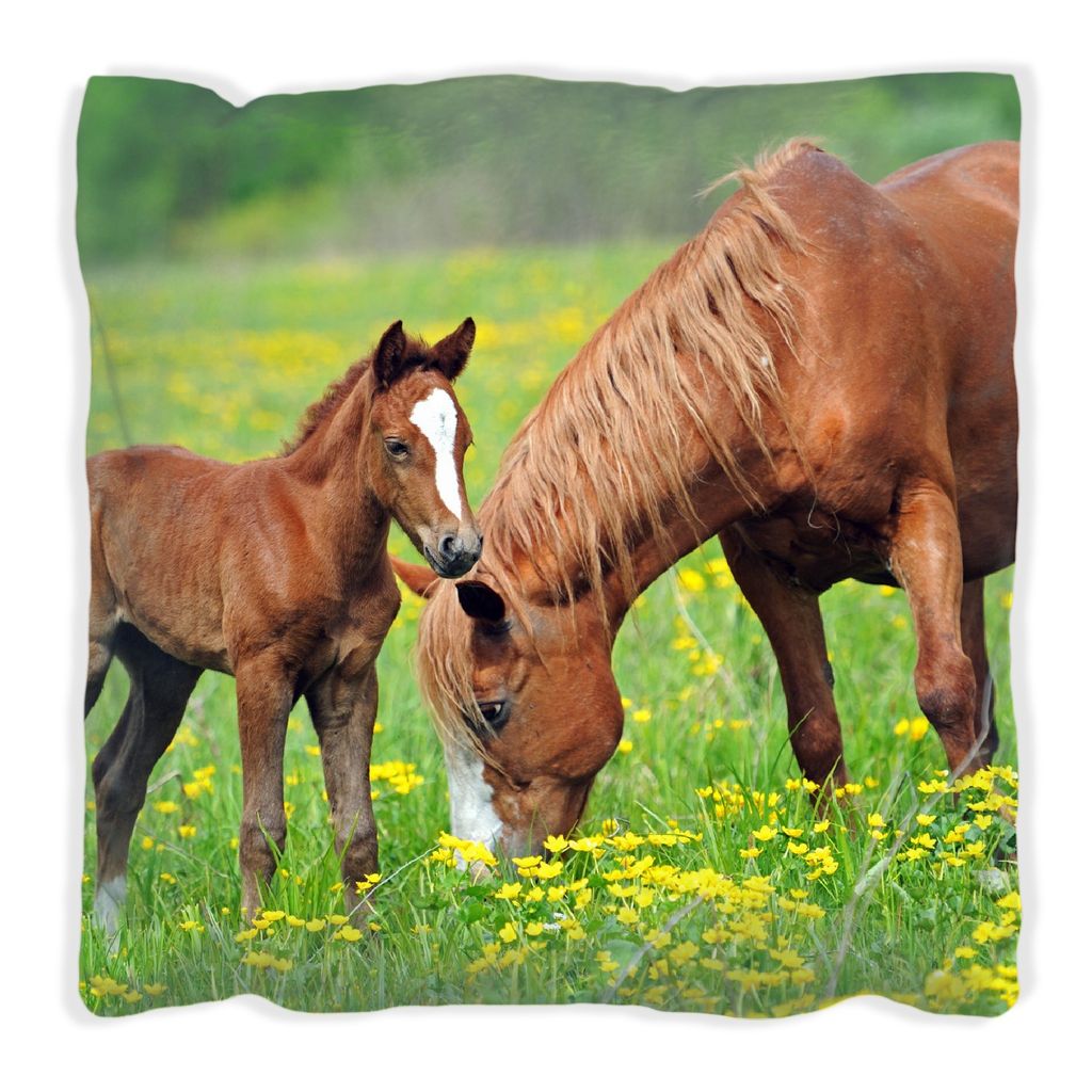 Wallario Premium Kissen, weiche Oberfläche, mit Motiv Pferde auf der Koppel, Größe: 40 x 40 cm, mit weißer Rückseite