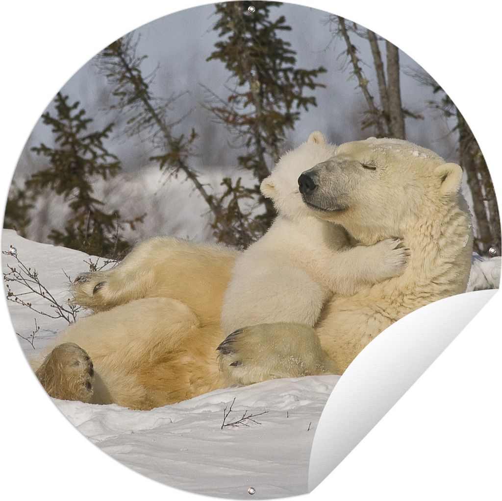 MuchoWow Gartenposter Outdoor-Poster Rund Eisbär - Schnee - Höhle - Jungtier Ø 150 cm Gartendeko Rundes Poster draußen