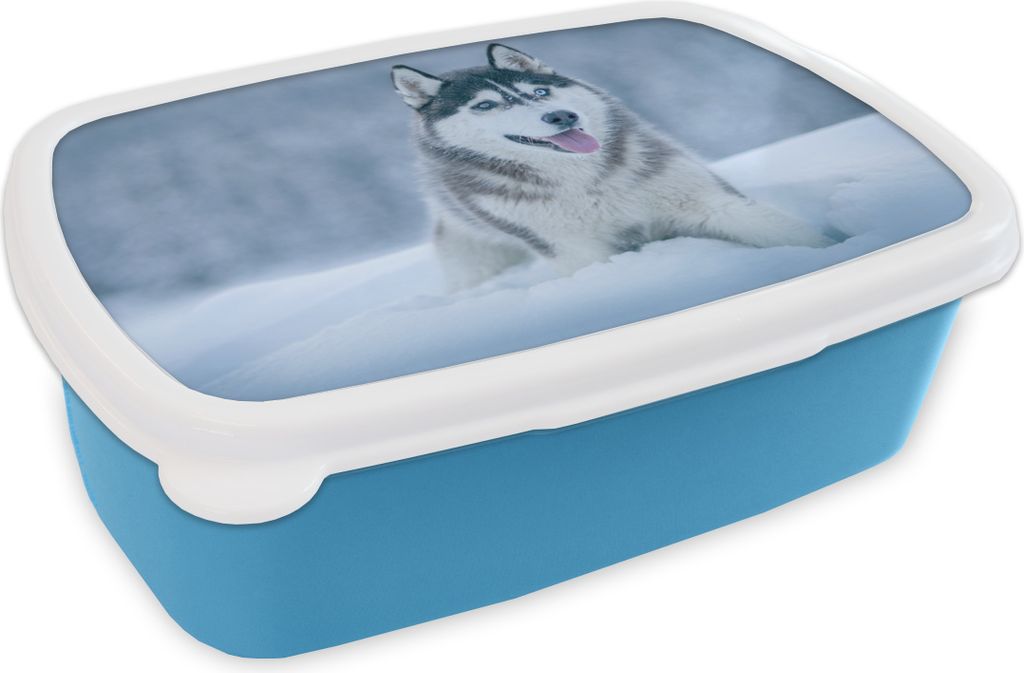 KitchenYeah Lunchbox Brotzeit Brotdose 17x11 cm Husky - Schnee - Natur Kinder Brotzeitdose - Lunch - Kunststoff - Brotbüchse - Sandwichbox - Lu...