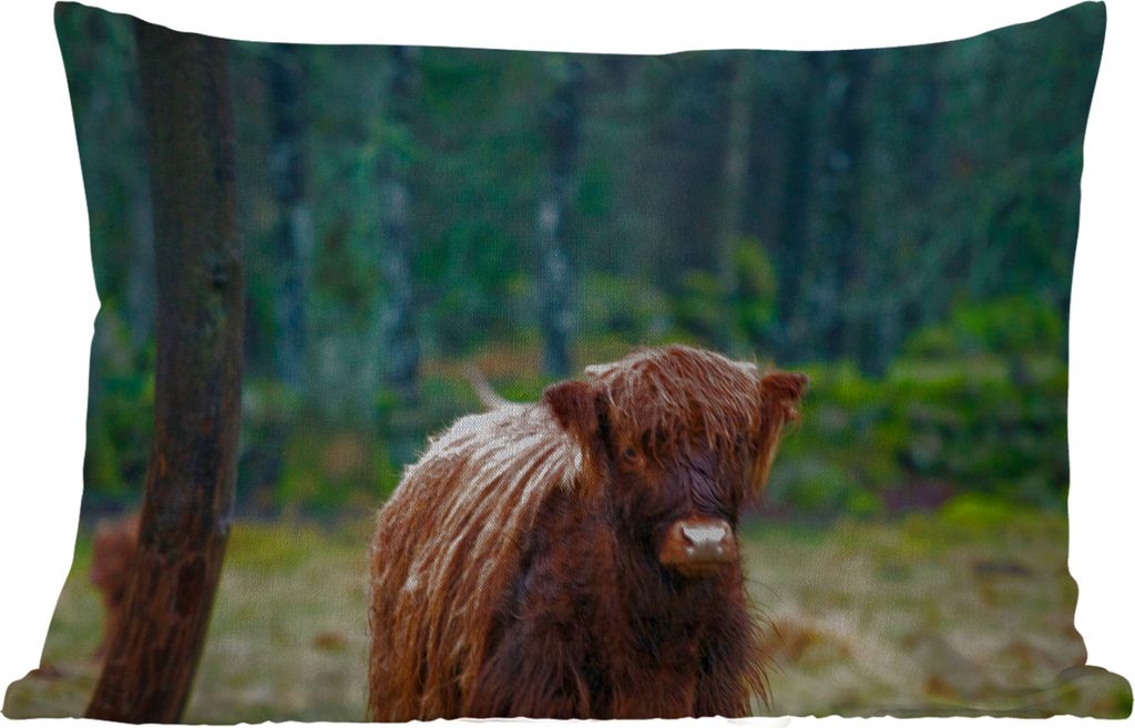 MuchoWow Outdoor Kissen - Schottisches Hochlandrind - Wald - Moos - 60x40 cm - Wetterfest - Lounge Kissen - Zierkissen - Kissen für Innenräume