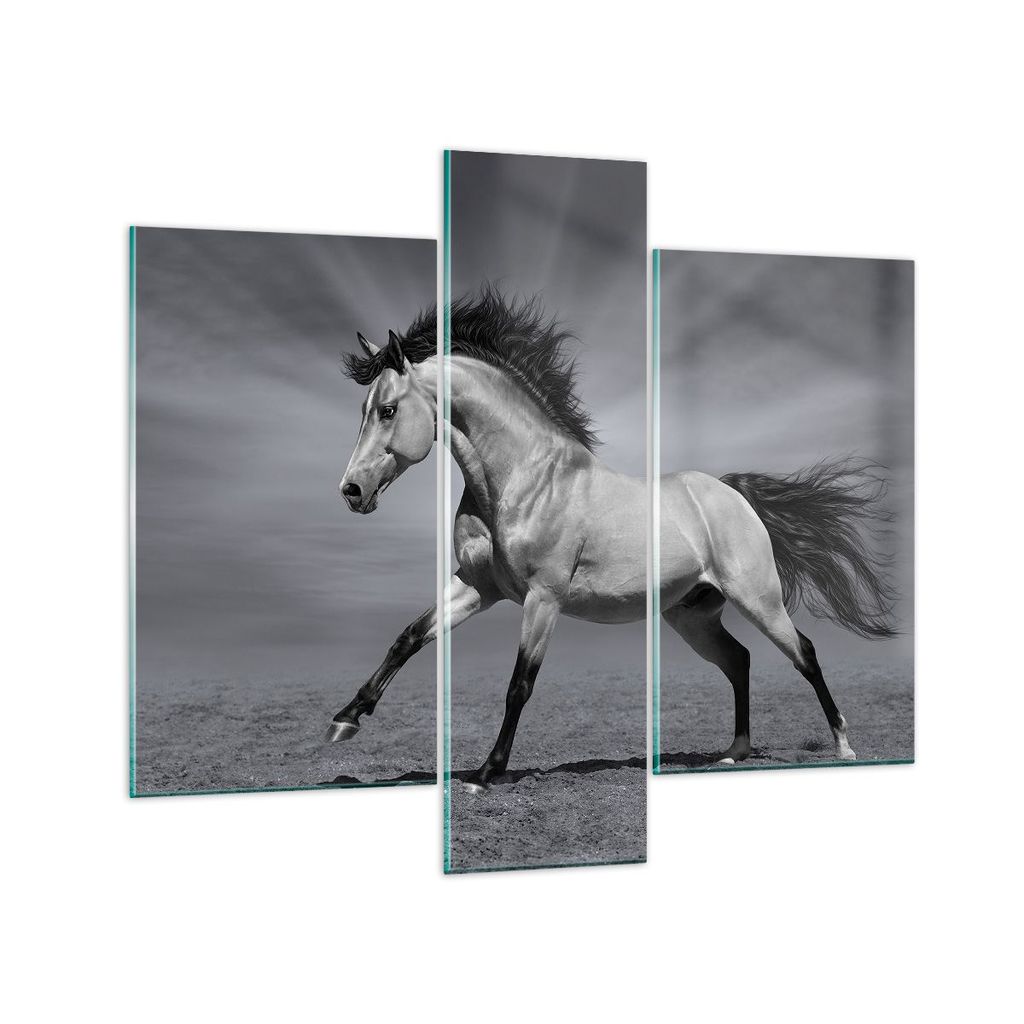 Bilder auf glas - Pferd Tier Natur - 95x80cm - Glasbilder - Wandbilder - Kunstdruck - zum Aufhängen bereit - Wanddekoration aus Glas - Glas Bilder...