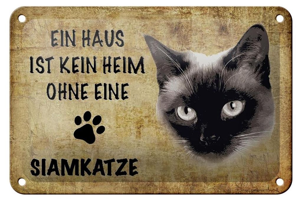 Blechschild Spruch 18x12cm Siamkatze Katze ohne kein Heim