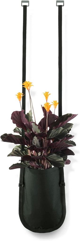 Authentics Pflanztasche Urban Garden M 2,5 L, Pflanzbehälter, Polyester, PVC, Schwarz-Grün, 7121426