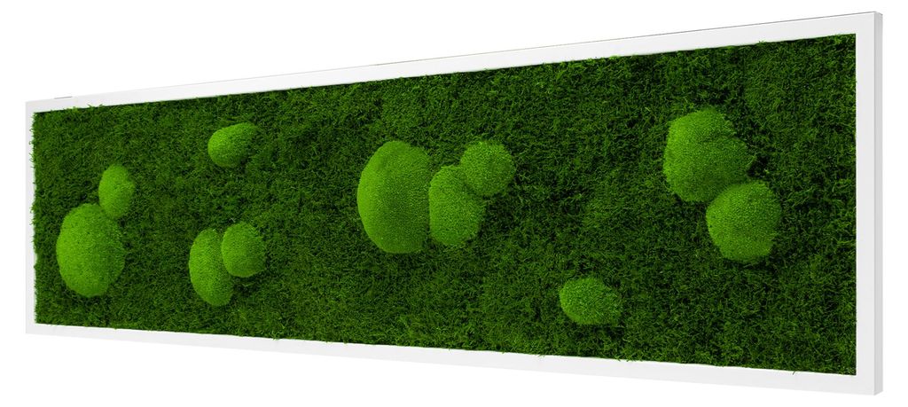 Moosbild Forest Design (140x40, weiß) Produktbild 