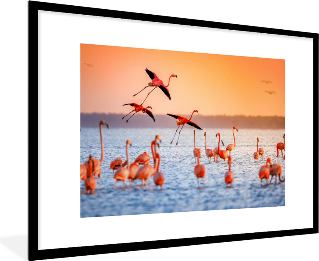 MuchoWow Gerahmtes Poster Vogel - Flamingo - Wasser - Sonnenuntergang - Rosa 90x60 cm - Poster mit Schwarzem Bilderrahmen Wandposter Rahmen Foto ...