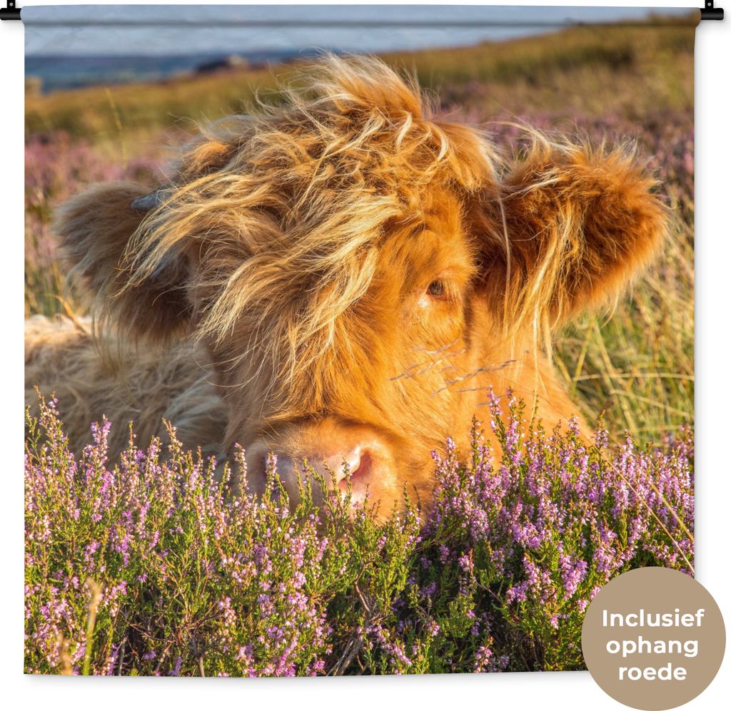 MuchoWow Wandteppich Wandbehang Schottische Hochlandrind - Heide - Gras - Tiere 120x120 cm Tapisserie Dekoration Wandtuch - Modern - Baumwollgewebe