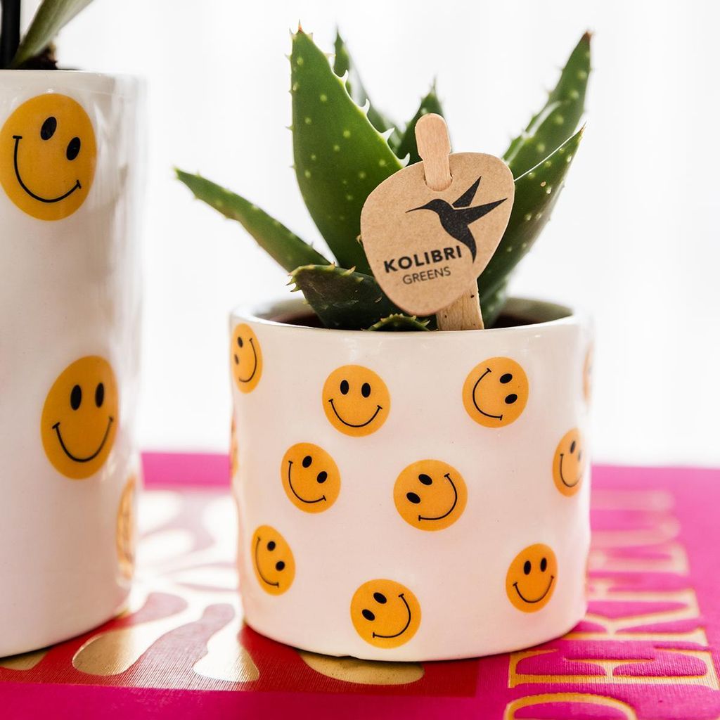 Mini Blumentopf Ø6cm Übertopf mit gelben Smileys für Sukkulenten Kakteen