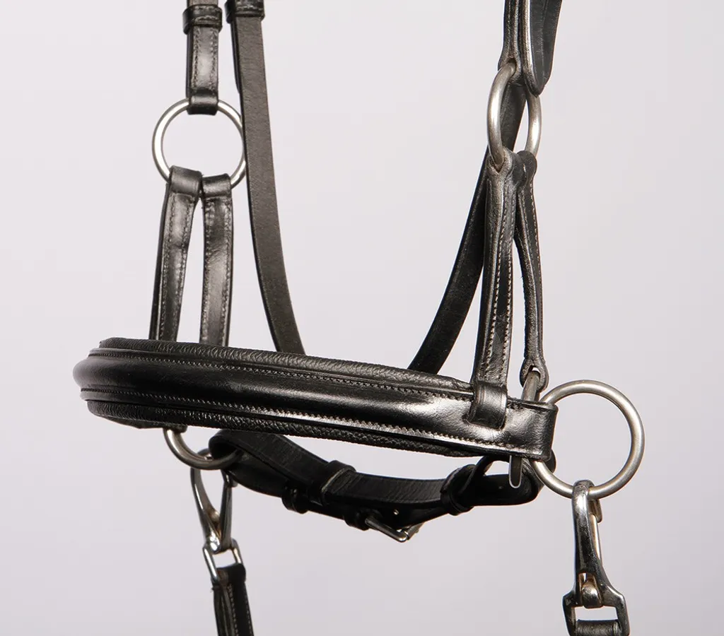 Bridon sans Mors Sidepull Harrys Horse : Solution Confort Cheval VB - 2